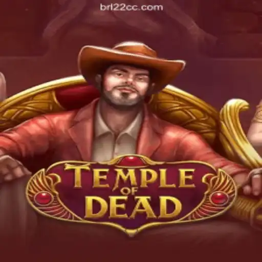 22CC.COM platform-Oficial Slots Brasil #1 Exclusive Offers
